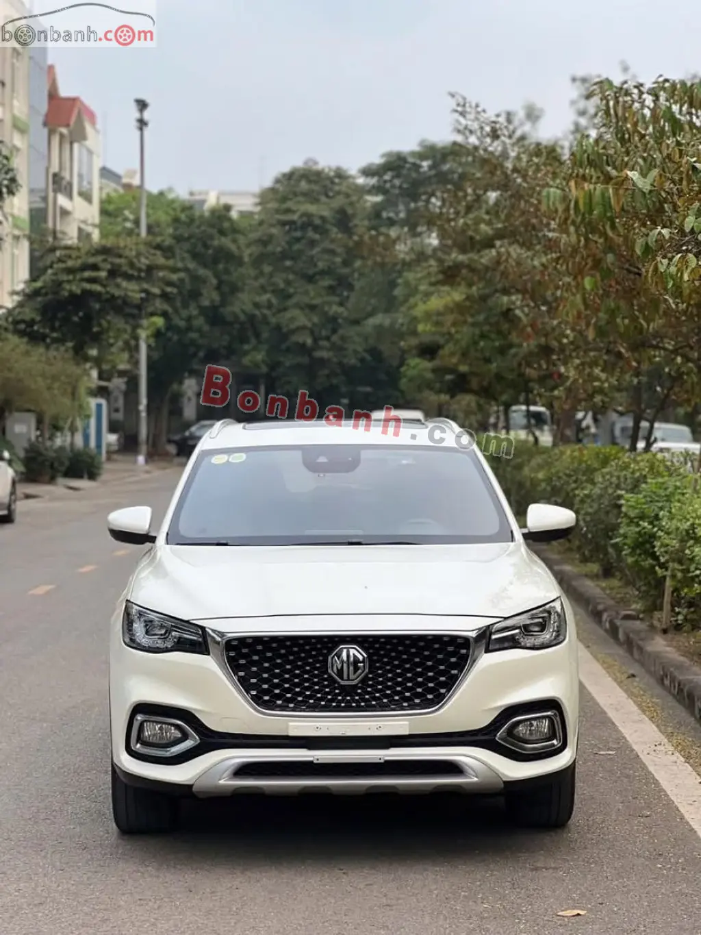Hình ảnh số 2