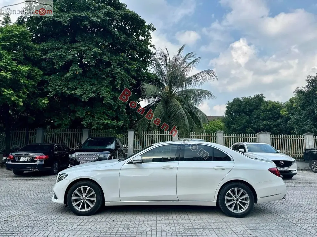 Hình ảnh số 4