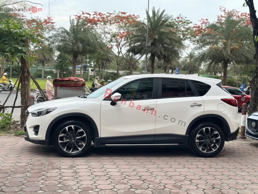 Hình ảnh số 2