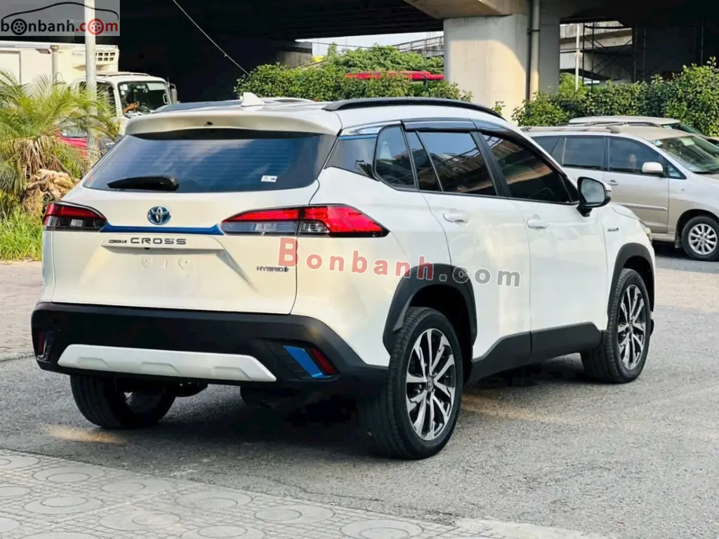 Hình ảnh số 4
