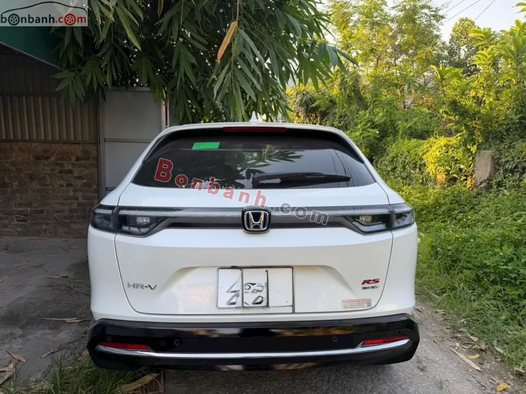 Hình ảnh số 3
