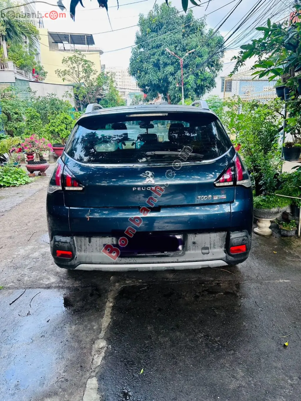 Hình ảnh số 2