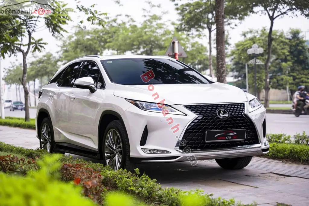 Hình ảnh số 2