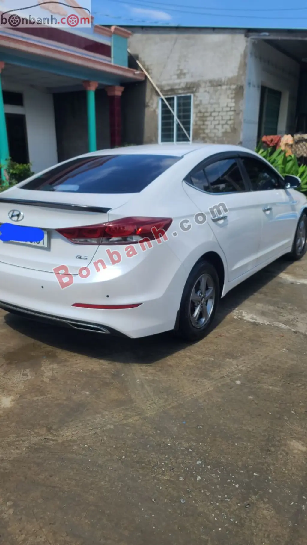 Hình ảnh số 4