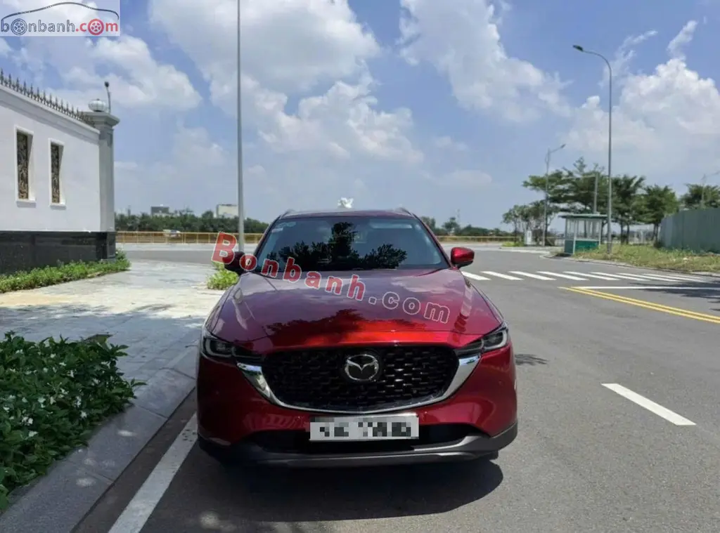 Hình ảnh số 2