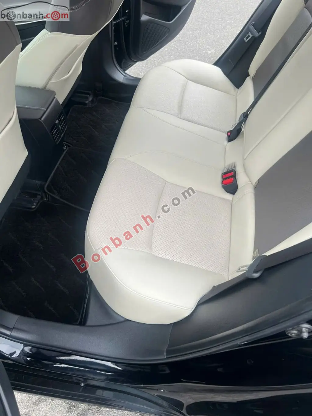 Hình ảnh số 8