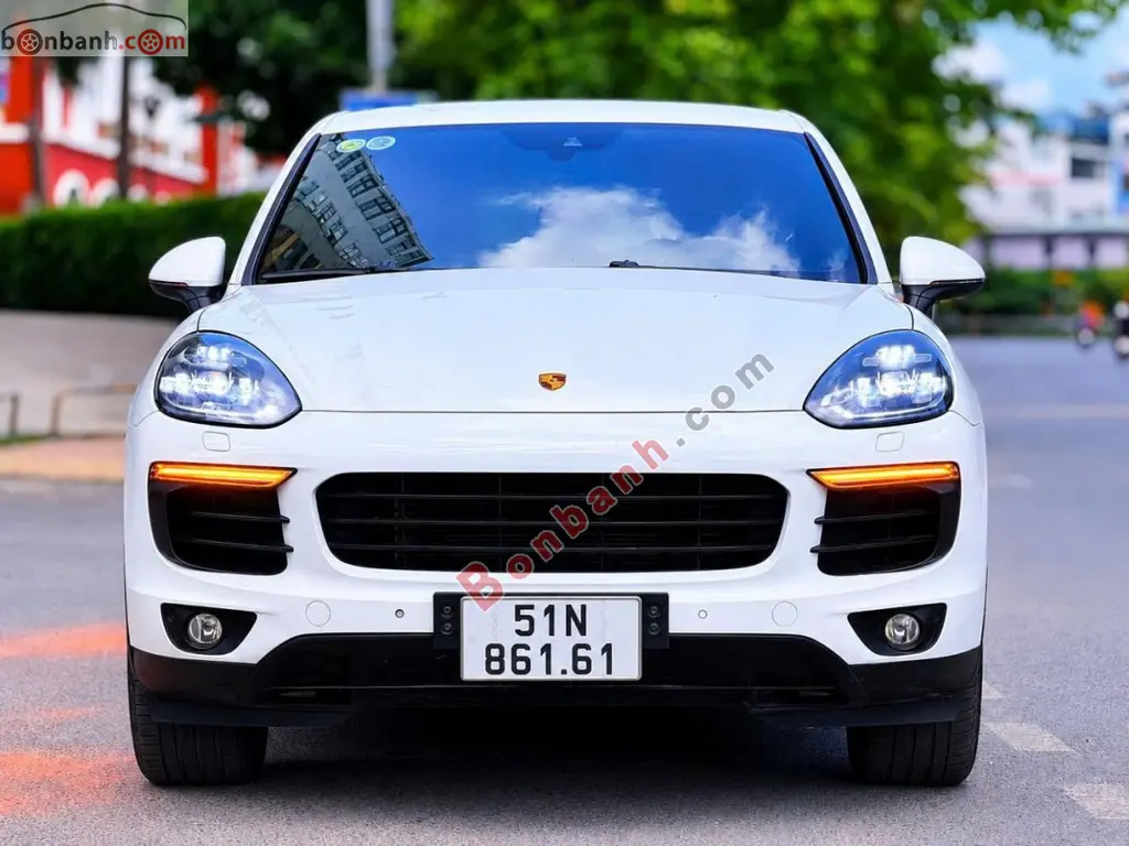 Hình ảnh số 2