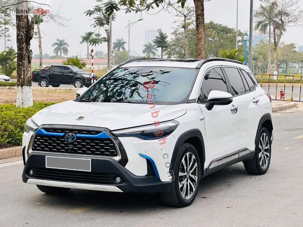 Hình ảnh số 2