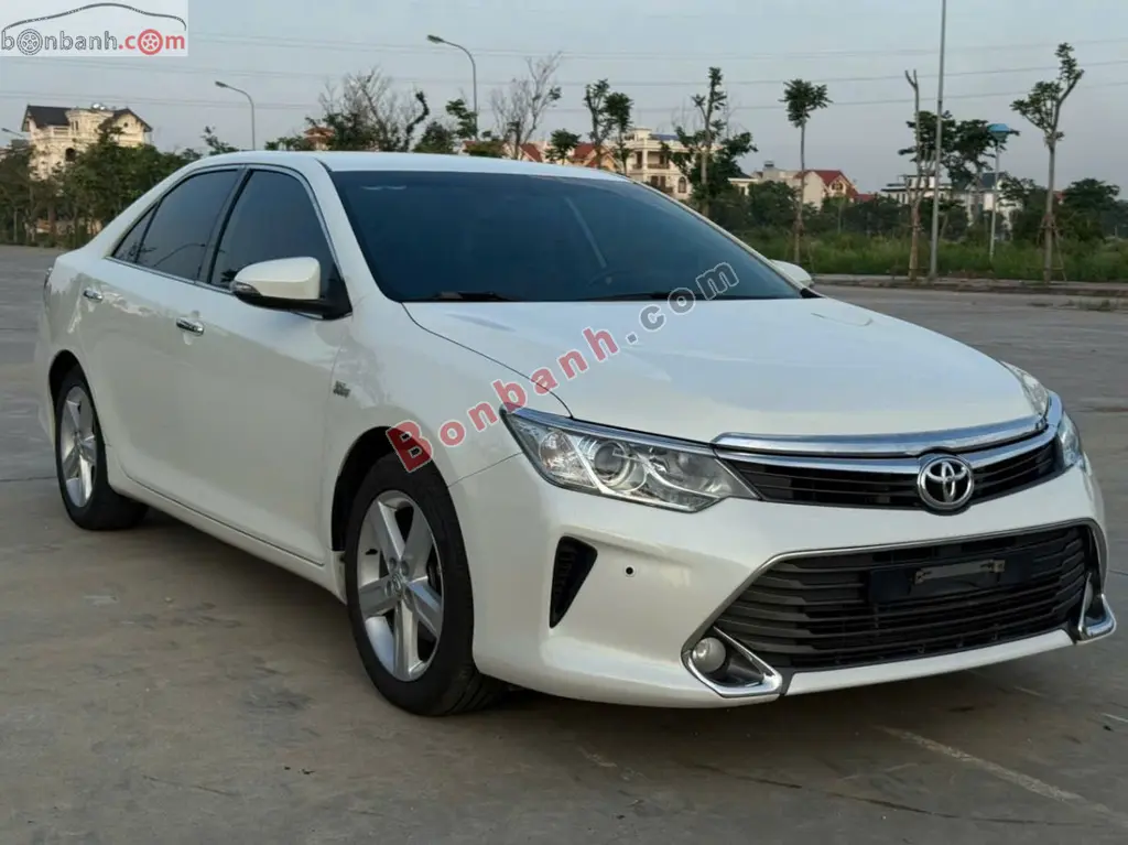 Hình ảnh số 2