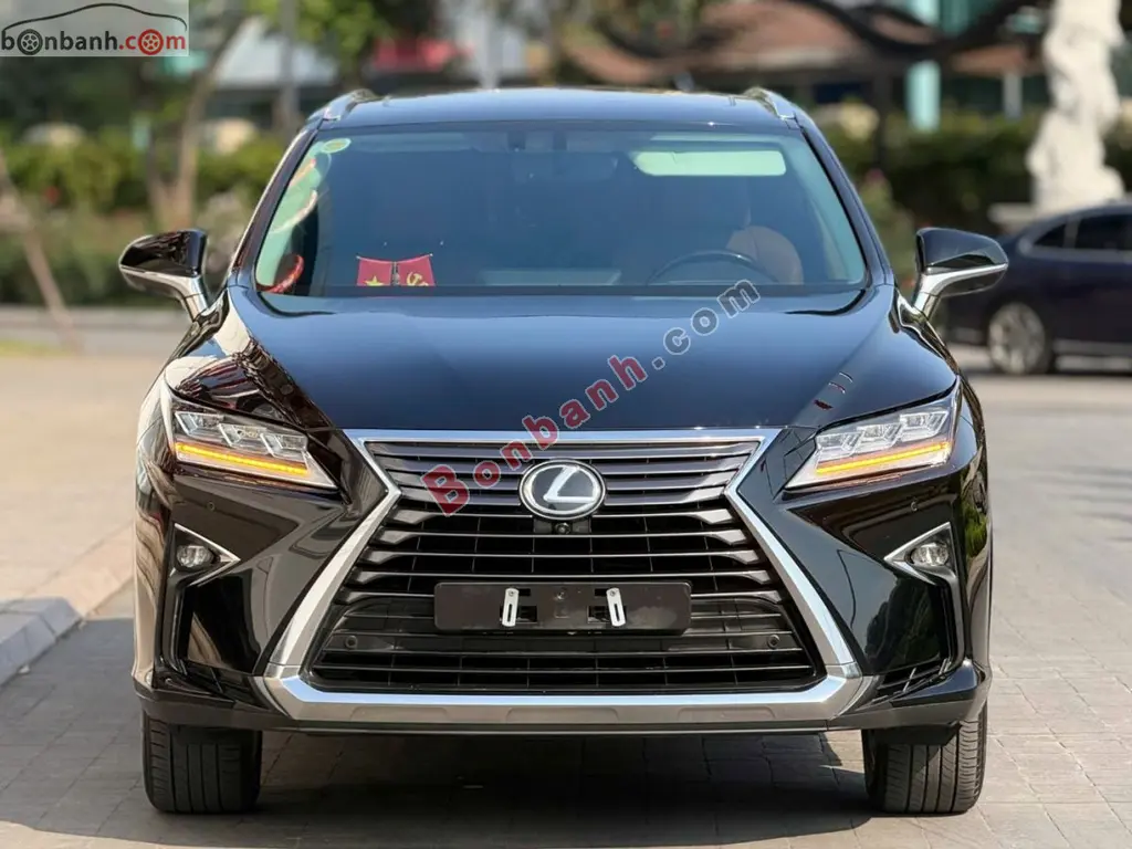 Hình ảnh số 2