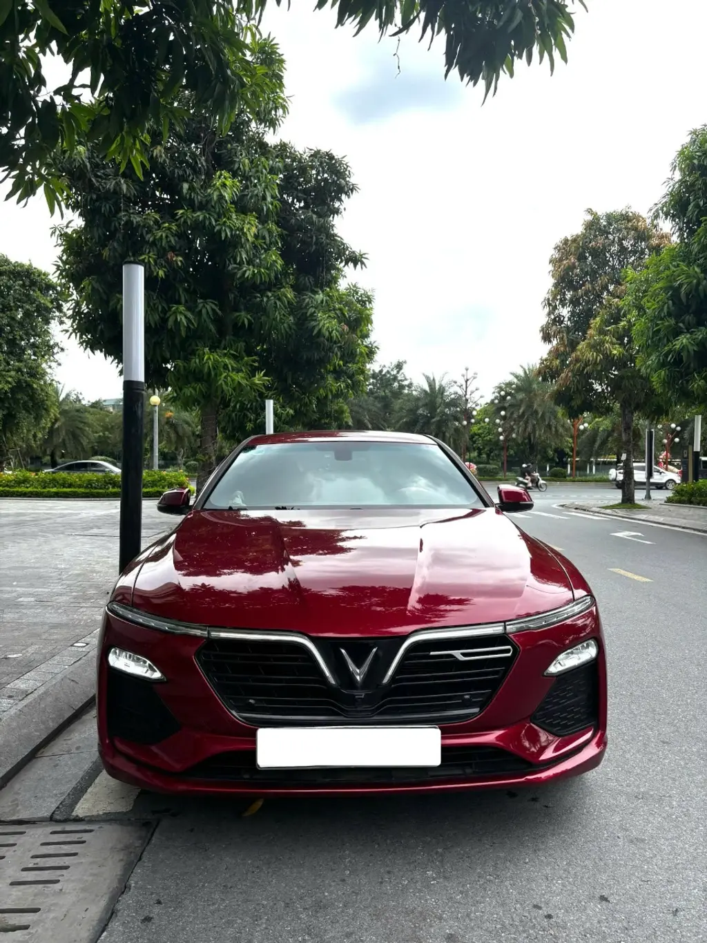 Hình ảnh số 2
