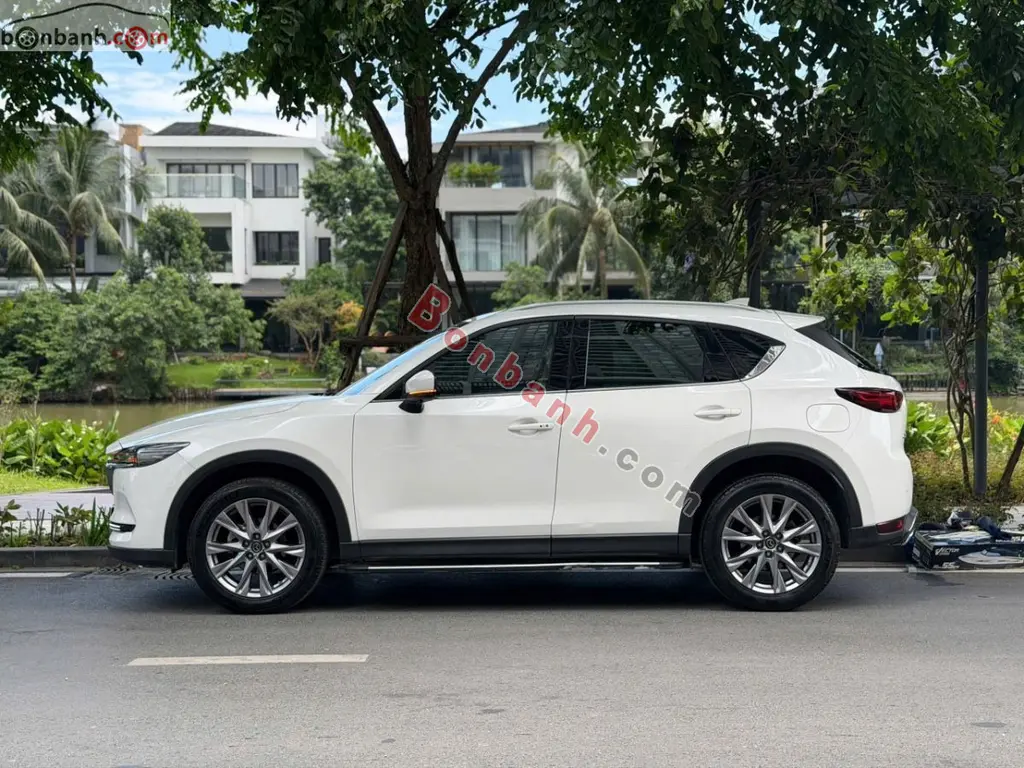 Hình ảnh số 4