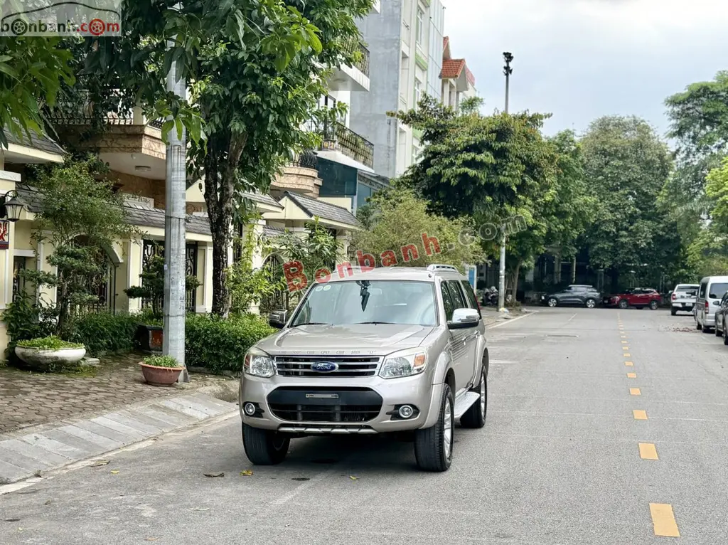 Hình ảnh số 2