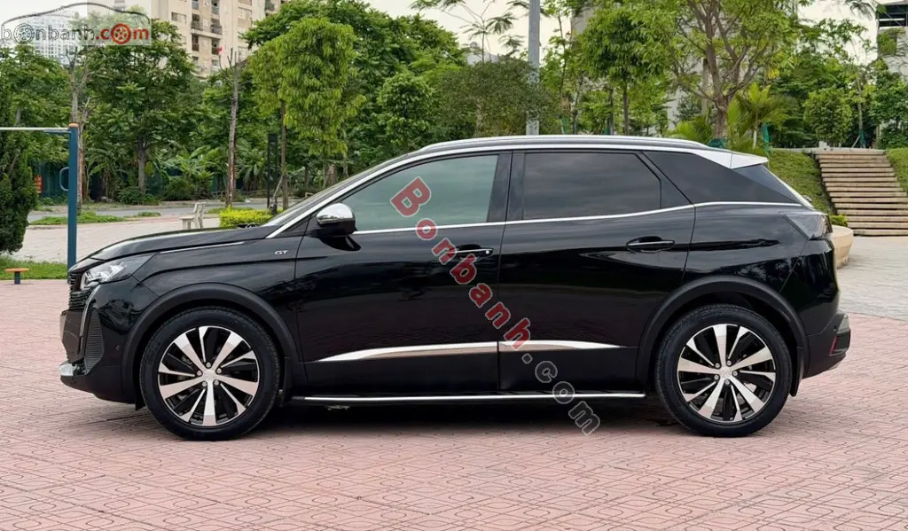 Hình ảnh số 2