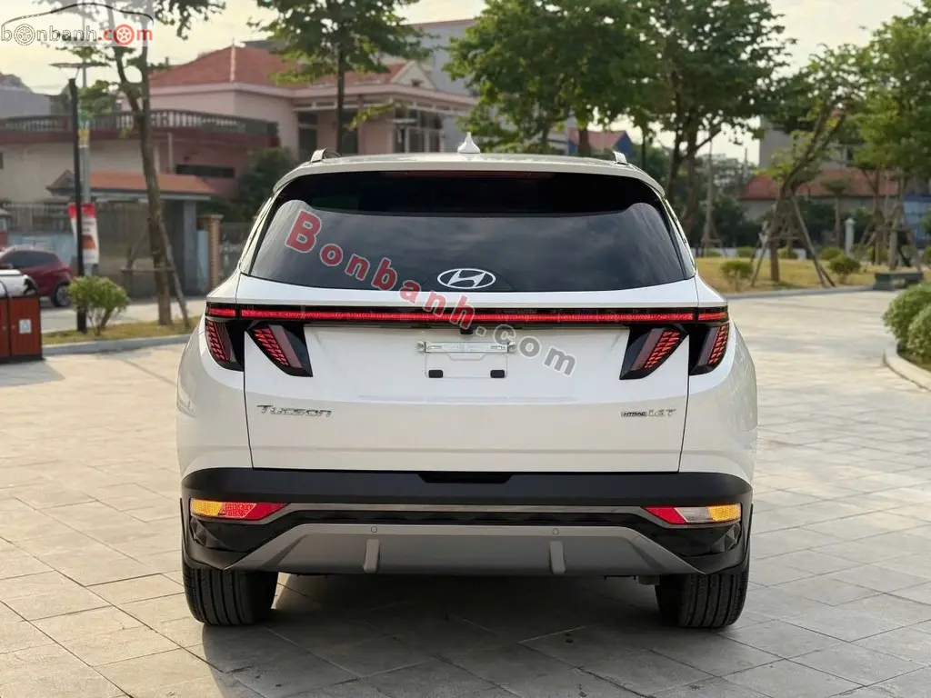 Hình ảnh số 3