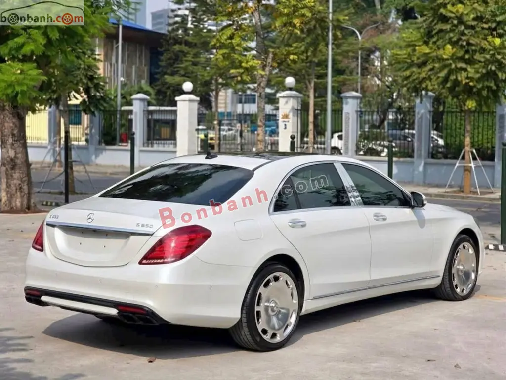 Hình ảnh số 6