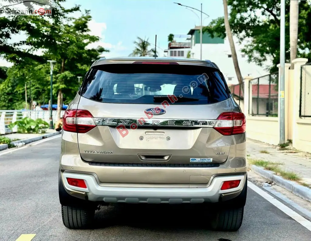 Hình ảnh số 5