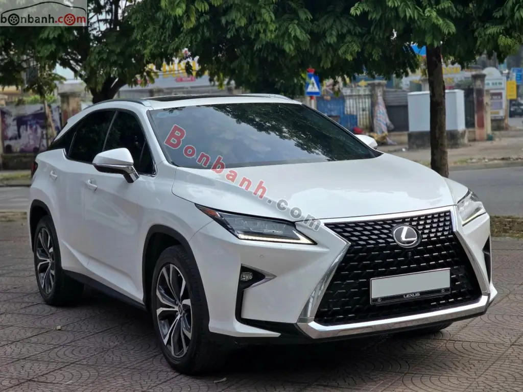 Hình ảnh số 2