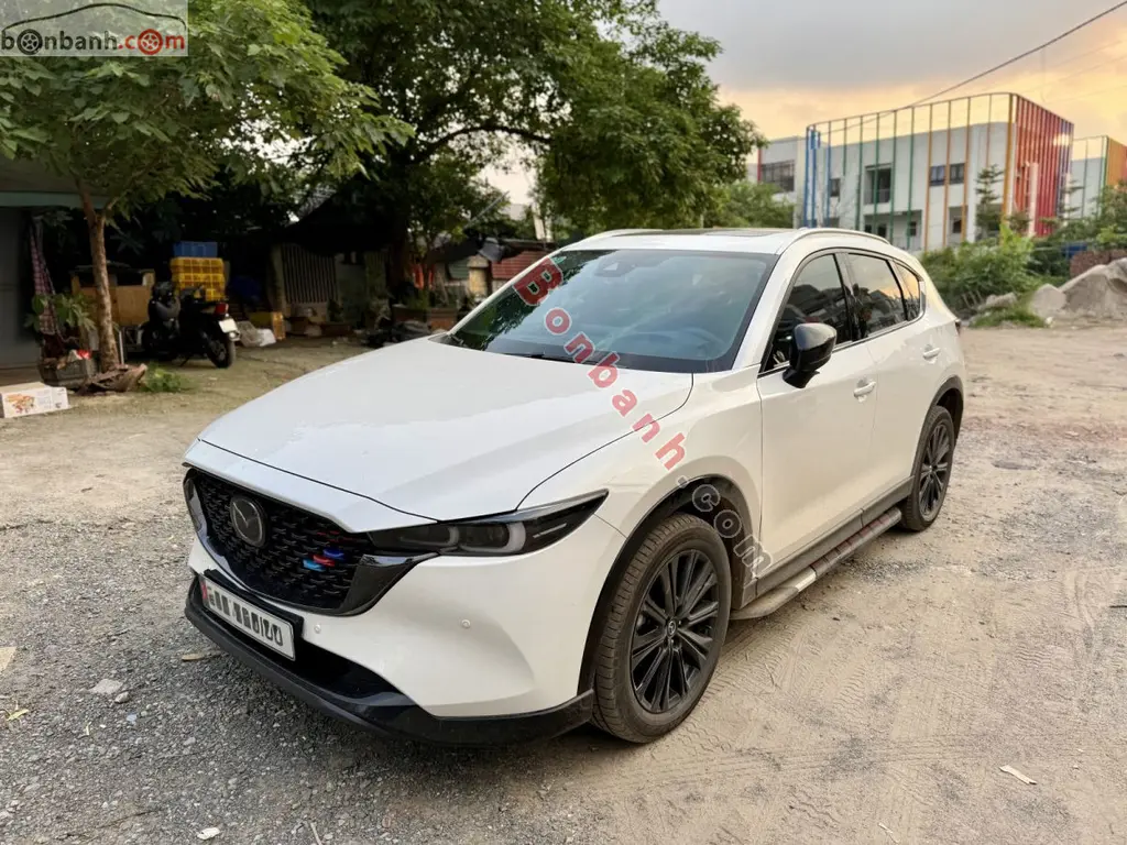 Hình ảnh số 3