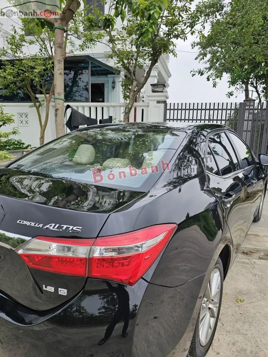 Hình ảnh số 2