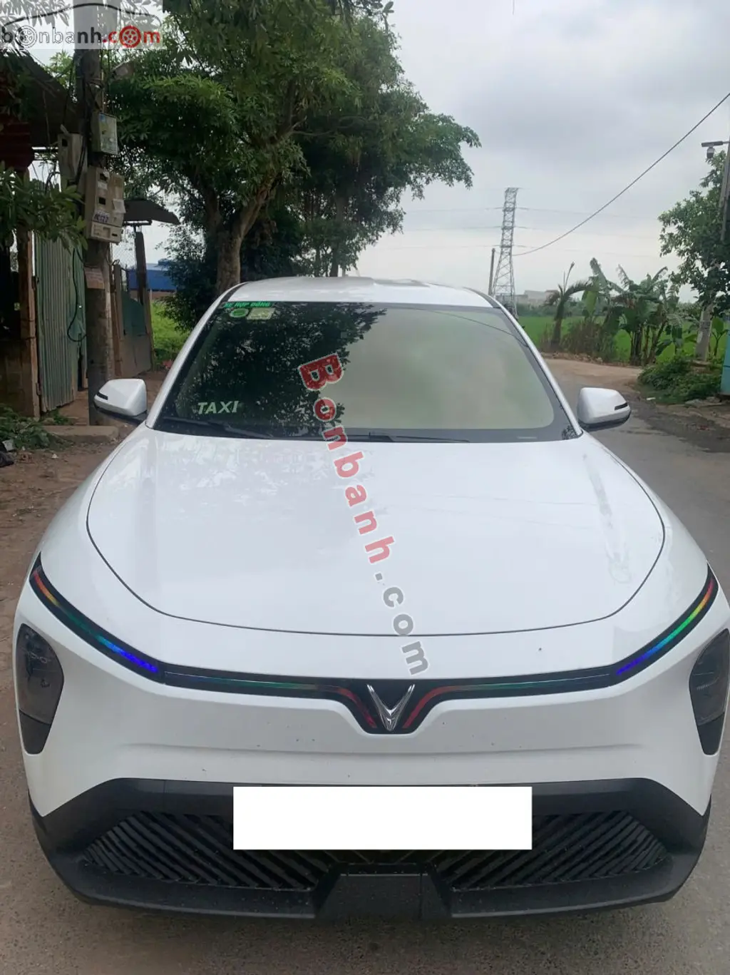 Hình ảnh số 4