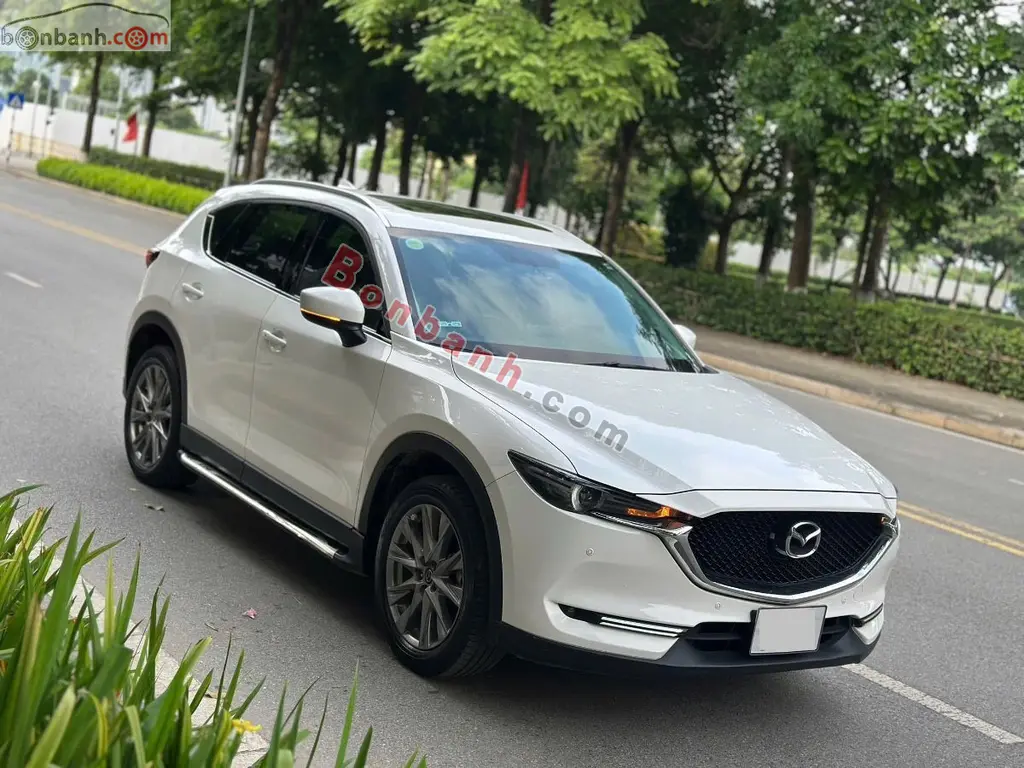 Hình ảnh số 3