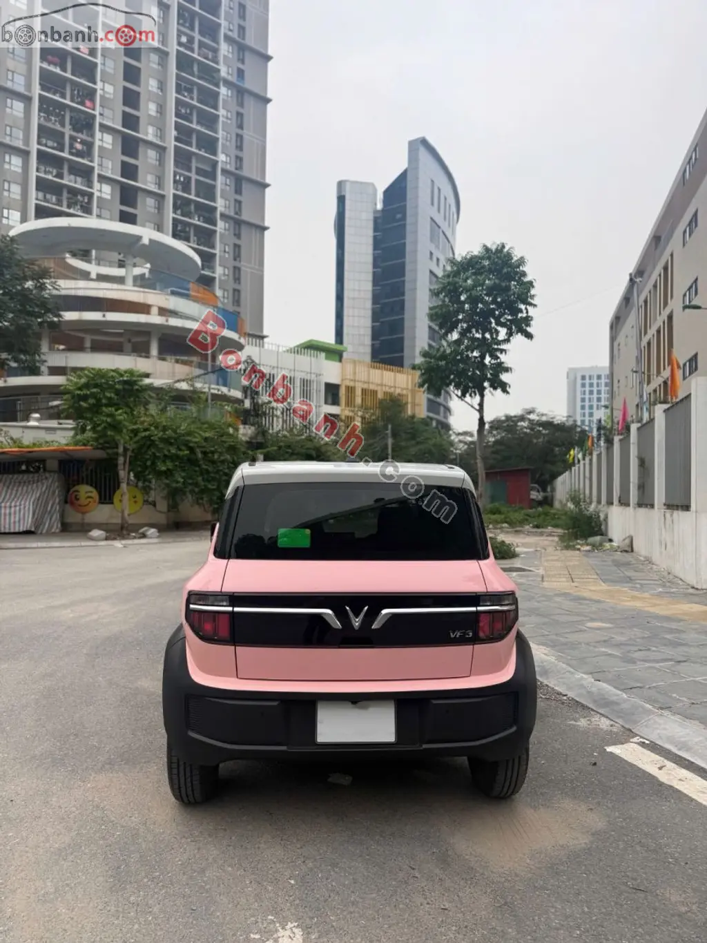 Hình ảnh số 3