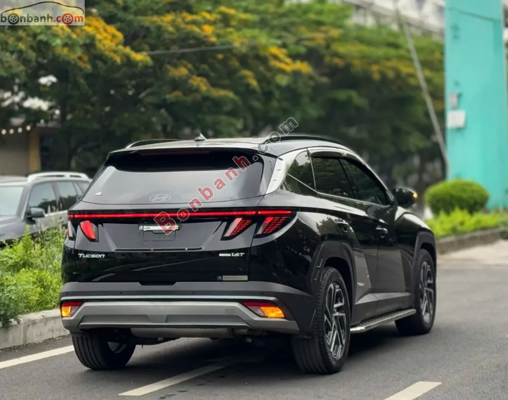 Hình ảnh số 3