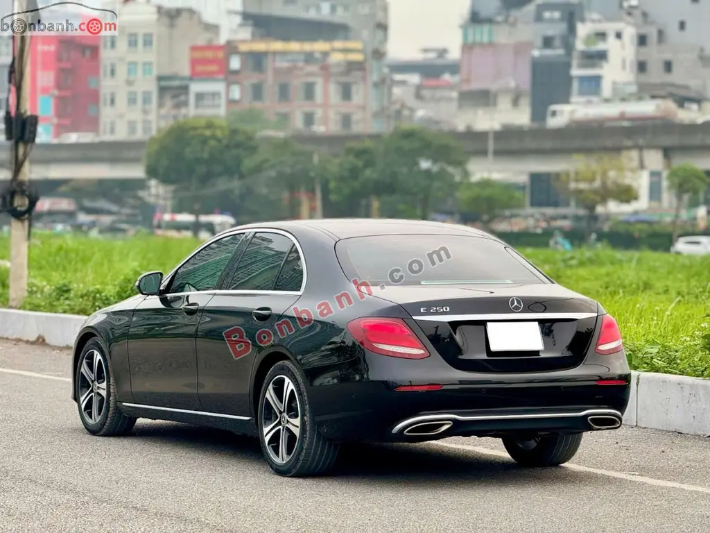 Hình ảnh số 5