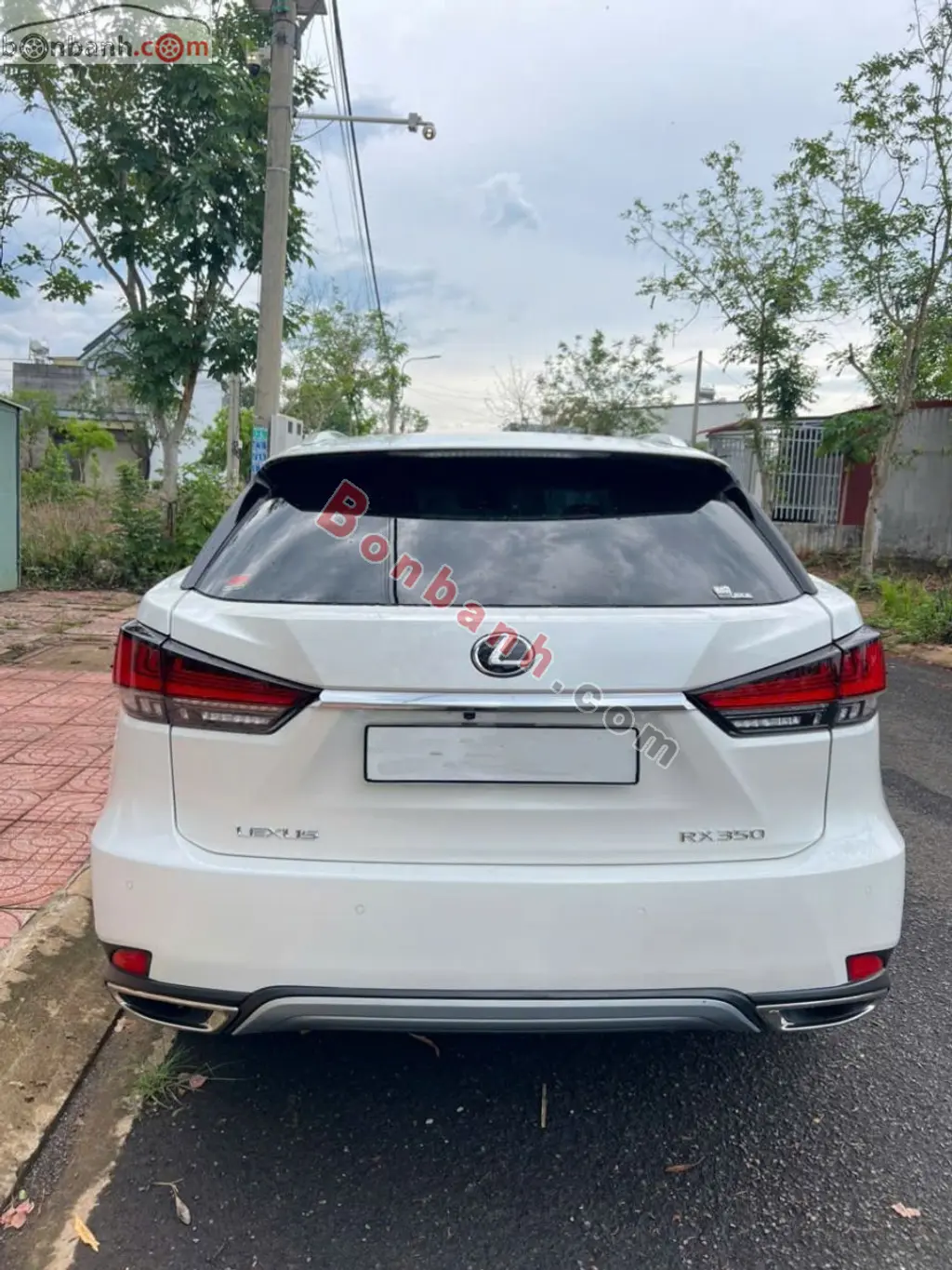 Hình ảnh số 5