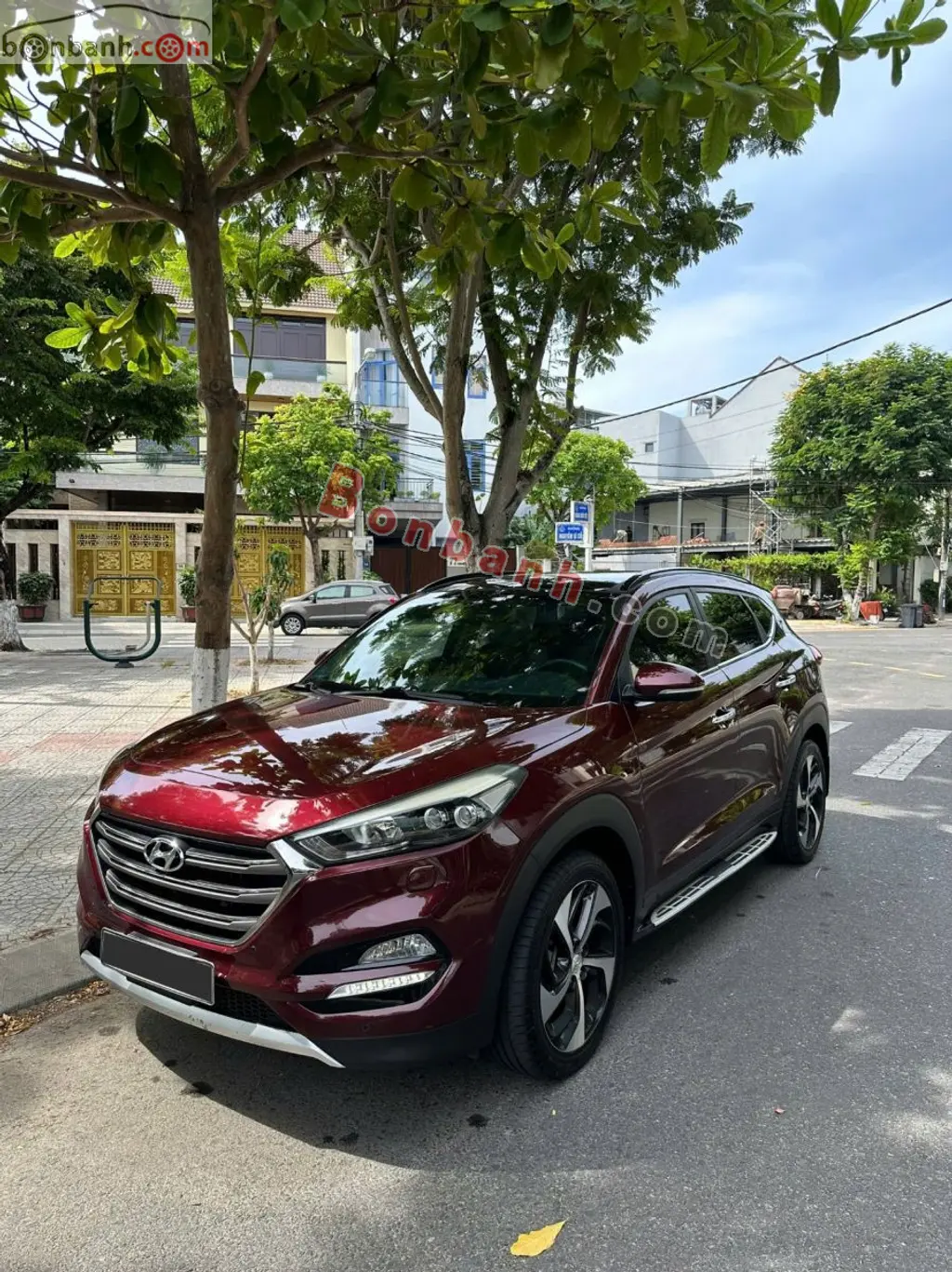 Hình ảnh số 2