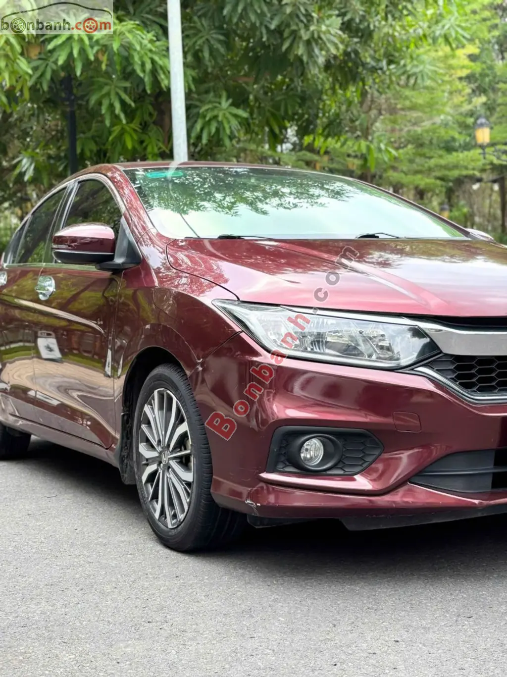 Hình ảnh số 2