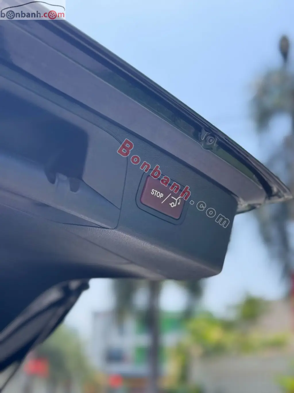 Hình ảnh số 8