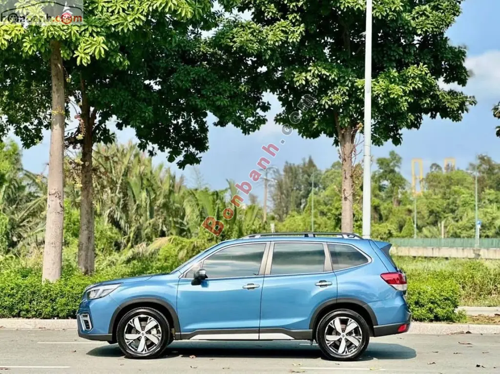 Hình ảnh số 2