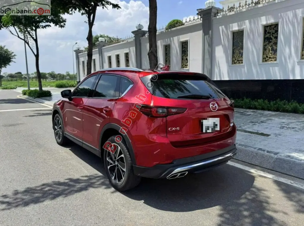 Hình ảnh số 3