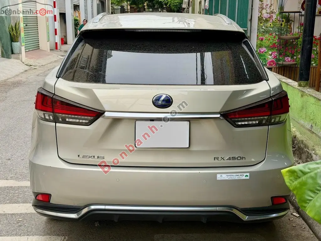 Hình ảnh số 4