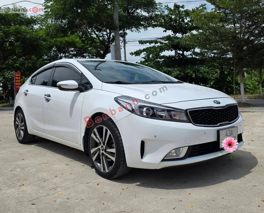 Hình ảnh số 2