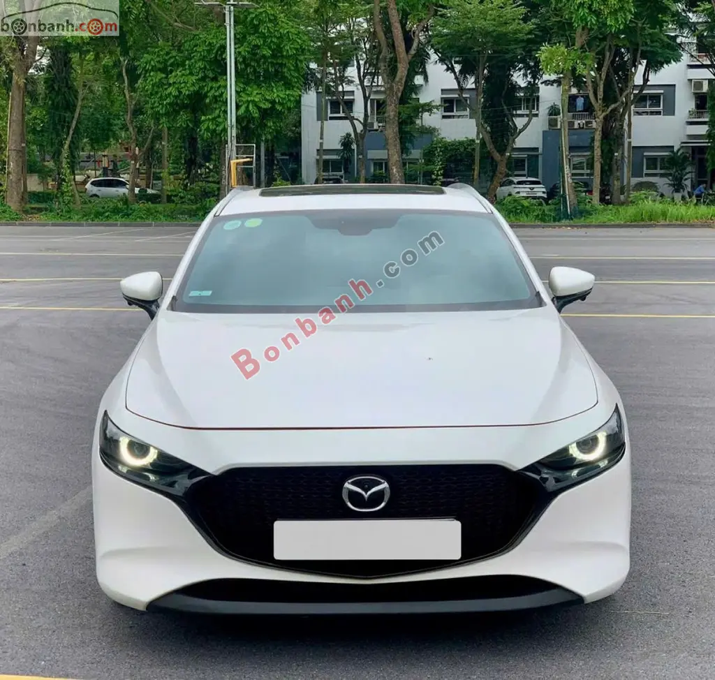 Hình ảnh số 2