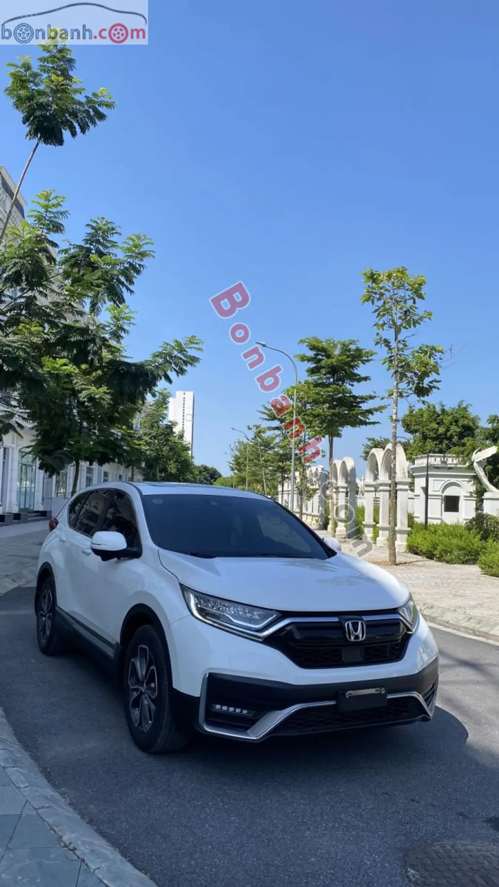 Hình ảnh số 2