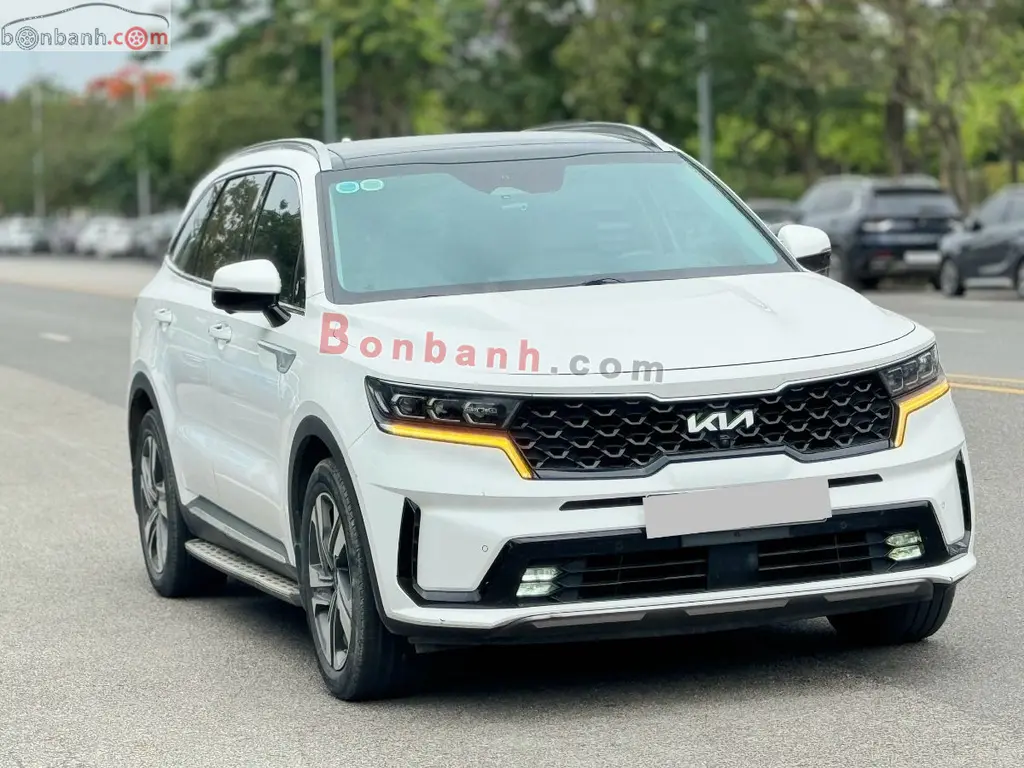 Hình ảnh số 2