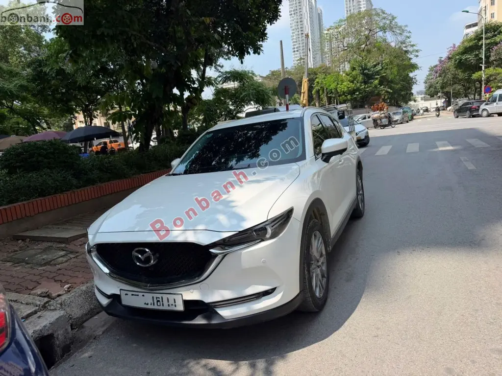 Hình ảnh số 2