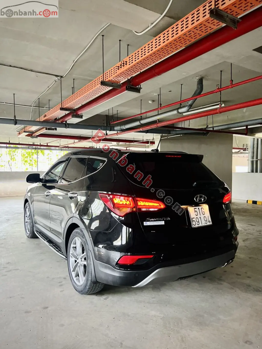 Hình ảnh số 3
