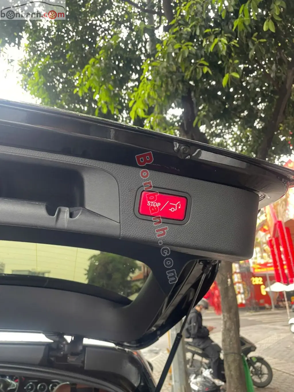 Hình ảnh số 2