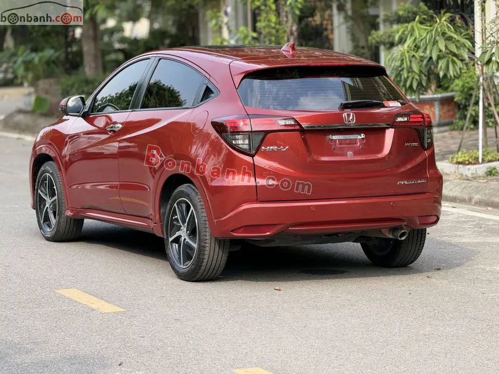 Hình ảnh số 3