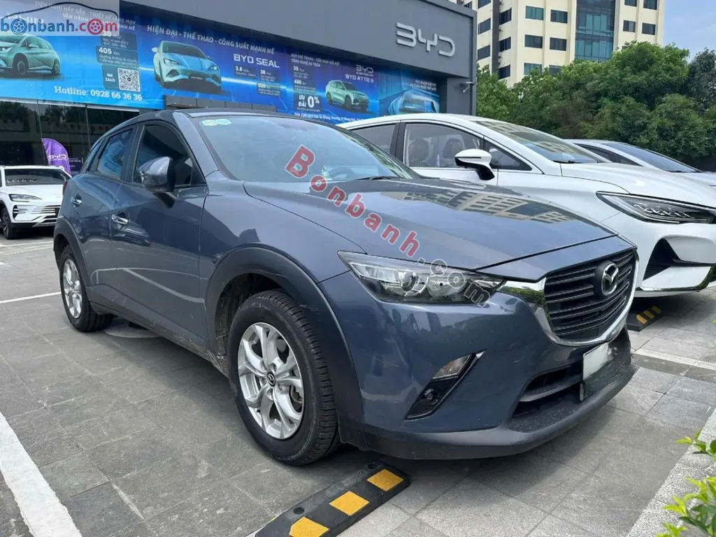 Hình ảnh số 3