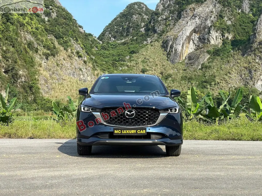 Hình ảnh số 2