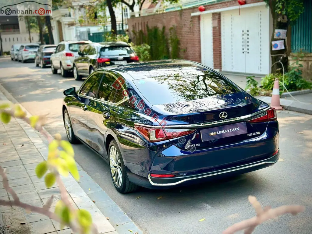 Hình ảnh số 3