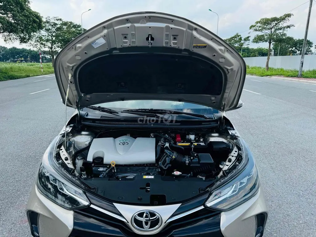 Hình ảnh số 12