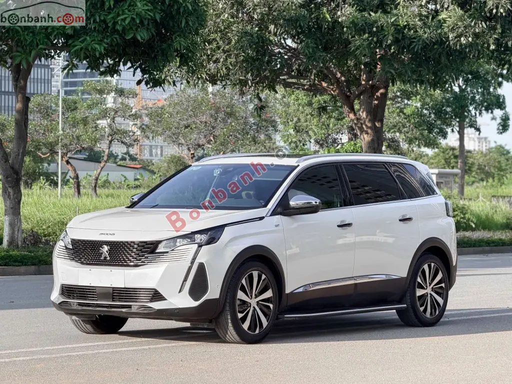 Hình ảnh số 2