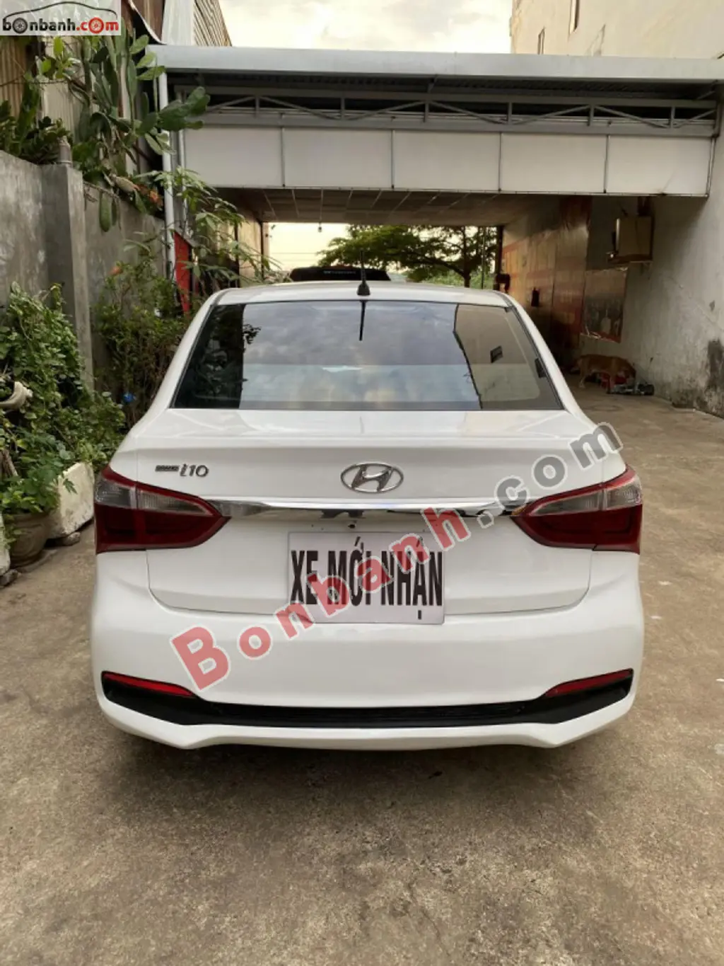 Hình ảnh số 7